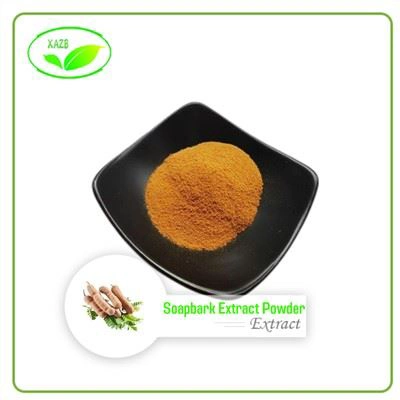Soapbark Extract Powder